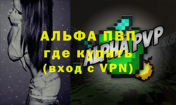 спиды Михайлов